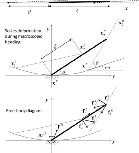 8 Initial Deformed Configuration And Free Body Diagram Of A Primary Download Scientific