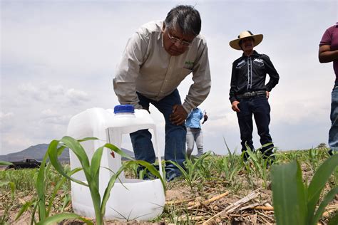 Impulsa Gobierno De M Xico Acciones Para Disminuir La Deforestaci N Y