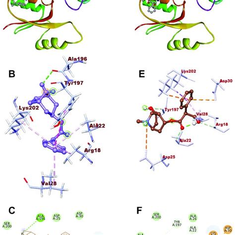 A B Docking Of Norapoatropine With Binding Sites Of RmGST S 3D