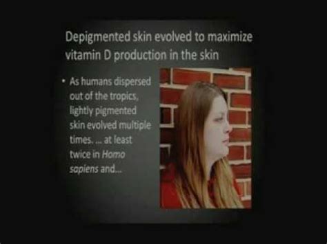 The Evolution Of Human Skin Pigmentation YouTube