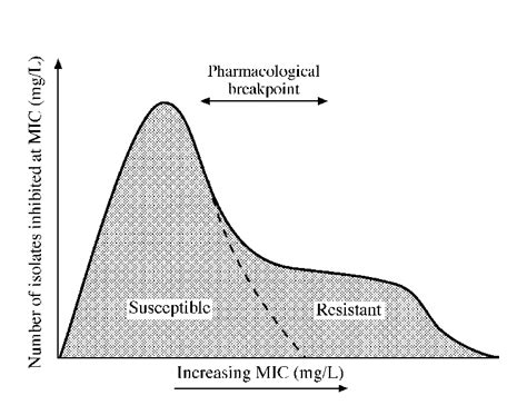 Impact Of Breakpoint On Interpretation With Overlapping Mic