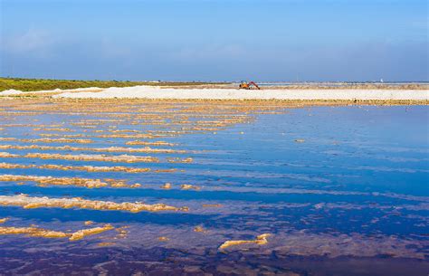 The Magnificent Salinas De Santa Pola Natural Park Provin Flickr