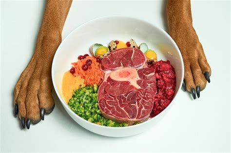 Feeding Fido: The Pros & Cons of a Raw Food Diet - Outside Rein