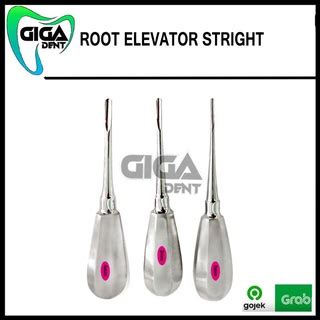 Jual Dental Bein Root Elevator Straight Bein Dental Gigi Mm Mm