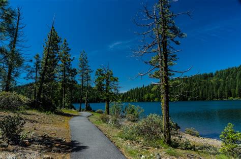 Sugar Pine Reservoir A Sweet Spot For Hiking And Camping In The Tahoe National Forest