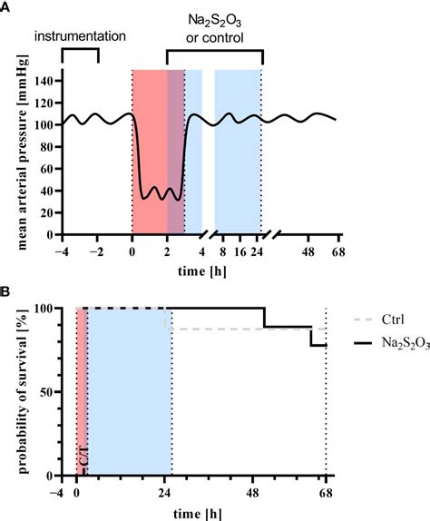 Frontiers The H2s Donor Sodium Thiosulfate Na2s2o3 Does Not Improve