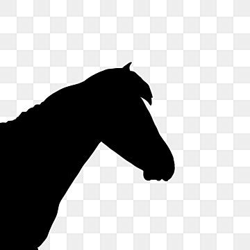 Black Horse Head Silhouette PNG Free, Horse Head Silhouette, Horse Head ...