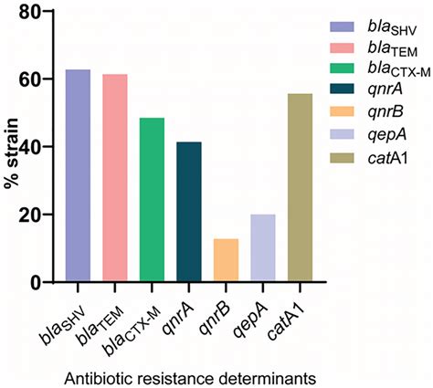 Graphical Representation Of Various Antibiotic Resistance Determinants