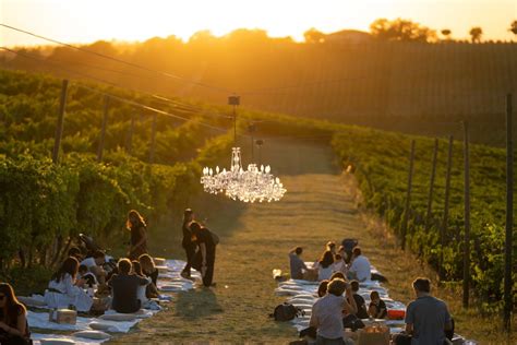 Il Picnic Di San Lorenzo Nella Notte Delle Stelle Cadenti Bolovegna