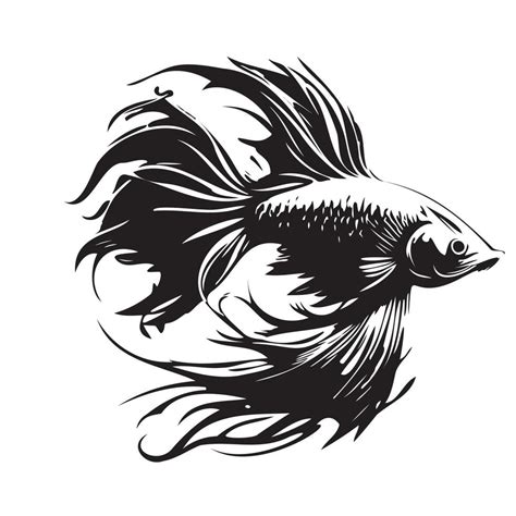 Betta Fish Vector Illustration Fighting Fish Logo Design