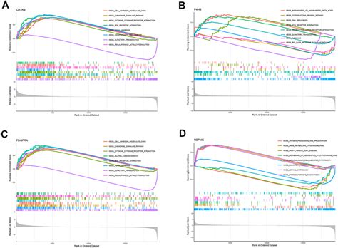 Prognostic Model Development And Molecular Subtypes Identification In