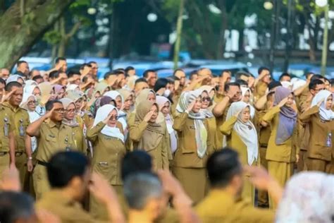 Catat Cpns Dibuka Bulan Juni Berikut Tahapan Seleksi