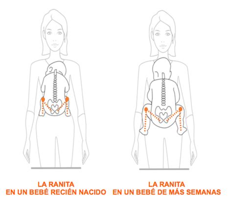 No Sin Mis Hijos Qué Es El Porteo Ergonómico De Un Bebé Y Por Qué Es