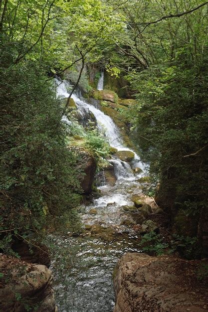 Fuente Les Fonts Del Llobregat En Castellar De N Hug Foto Premium