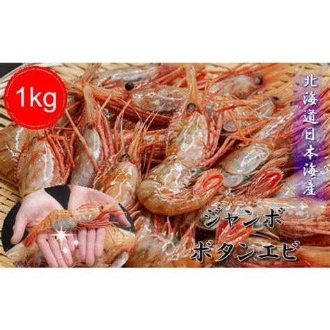 ふるさと納税 北海道 増毛町 6 040 001 ジャンボボタンエビ 1kg（10〜20尾） 4880862ふるさとチョイス 通販