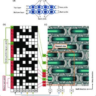 A Schematic Illustration Of Warp And Weft Yarns Of The Two Layers Of