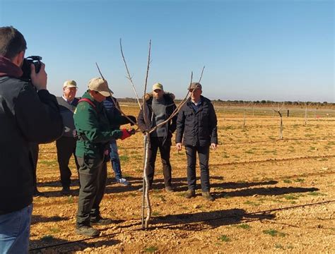 30 31 De Enero Y 1 De Febrero Curso De Poda De Pistacho Argamasilla