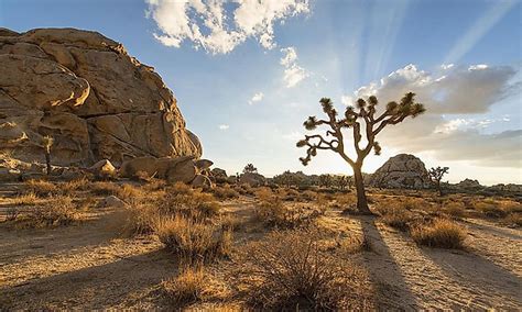 National Parks In California - WorldAtlas