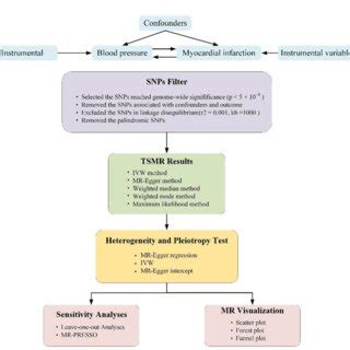 Figure E Schematic Representation Of Two Sample Mendelian Randomization