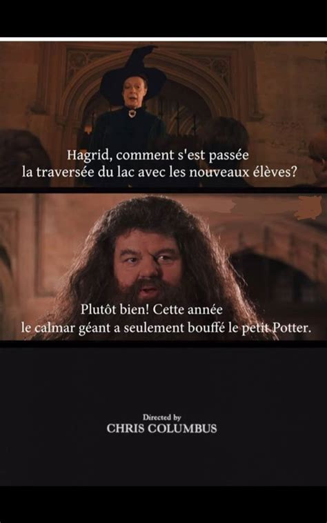 Blague Harry Potter Hagrid Et McGonagall En 2024 Citations Qui Font