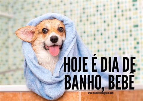 Frases Para Propaganda De Banho E Tosa Ideias Para Divulgar