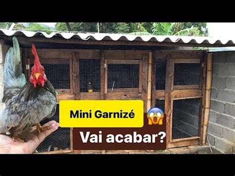 Construindo um Galinheiro na chácara Mini Garnizé YouTube