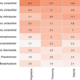 The Top Ten Most Abundant Bacterial Genera And Their Mean Relative