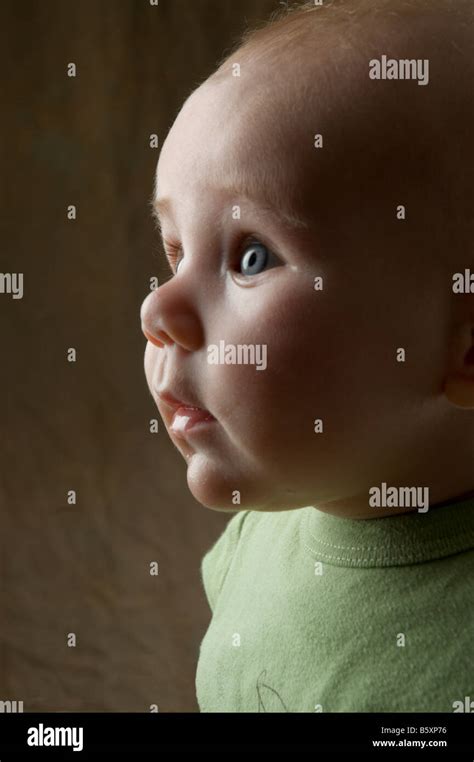 Baby Face Profile Stock Photo Royalty Free Image 20871850 Alamy