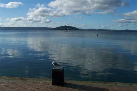 Rotorua New Zealand Activities