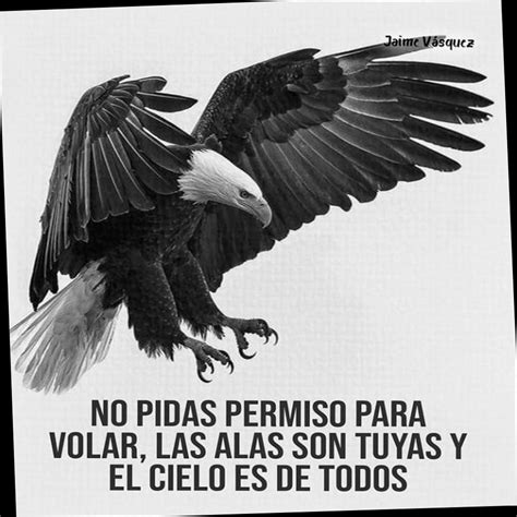 No Pidas Permiso Para Volar Las Alas Son Tuyas Y El Cielo Es De Todos