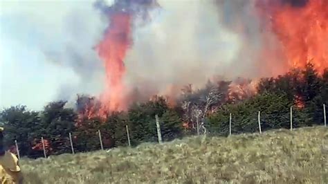 Sequía Y Altas Temperaturas Los Incendios Arrasan Con áreas Forestales