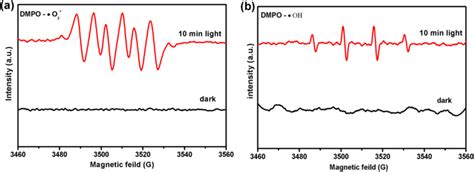 Esr Spectra Of Ac Sample A Dmpoo In Methanol Dispersion And B