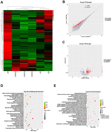 Long Non Coding Rna Rnf Promotes The Cardiac Fibrosis In Rat Model Via