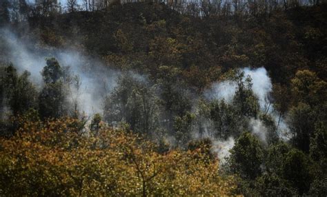 Declaran Emergencia Ecol Gica Por Incendios En Sierra De Santa Rosa