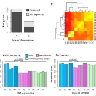 Gene expression in the 18 different RNA-seq samples. A) Number of genes ... 