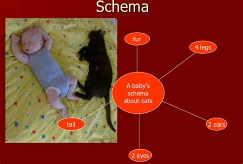 Piaget S Four Stages Of Cognitive Development Part Of Chapter