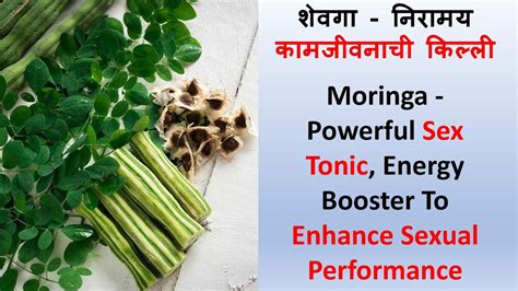 शेवगा निरामय कामजीवनाची किल्ली Moringa Powerful Sex Tonic Enhance Your Sexual Performance