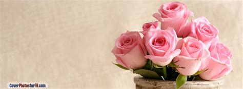 Light Pink Roses Cover Photos for Facebook | ID#: 795