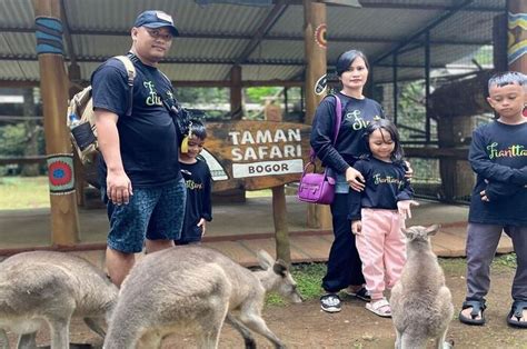 Taman Safari Indonesia Bogor Menyelami Keajaiban Alam Dan Kehidupan