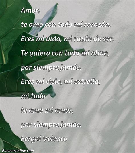 Poemas De Amor Largos Que Rimen Poemas Online