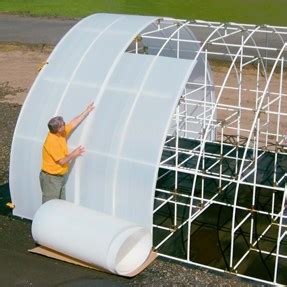 Best Clear Plastic Sheets for Greenhouses - Greenhouse Info