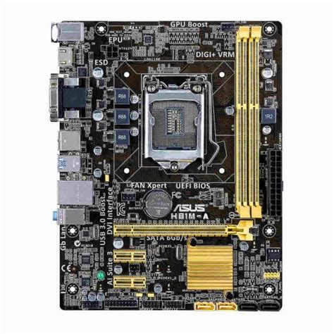 Placa Base Asus H M A Micro Atx Precio Guatemala Kemik