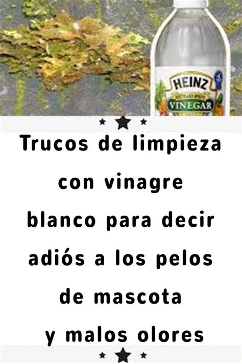 Trucos De Limpieza Con Vinagre Blanco Para Decir Adi S A Los Pelos De