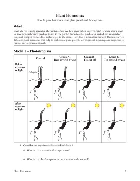 31 Plant Hormones-S