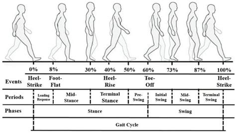 Electronics Free Full Text Feature Based Gait Pattern Modeling On A Treadmill