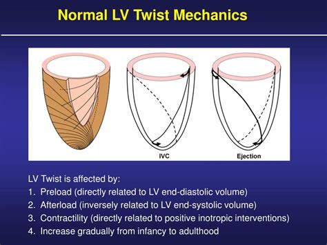 PPT Left Ventricular Twist Mechanics In Heart Failure PowerPoint