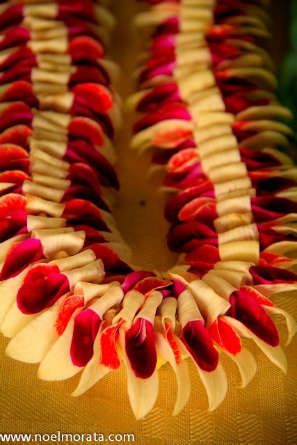 A Plant Fanatic In Hawaii May Day Is Lei Day In Hawaii