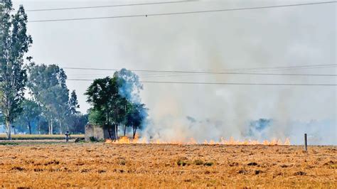 At Nearly Farm Fires In Punjab Highest In A Day Bad Air