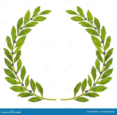 Laurel Wreath And Laurel Stock Vector Illustration Of History 23394200