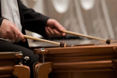 Hands Musician Playing Timpani Stock Image Image Of Musical